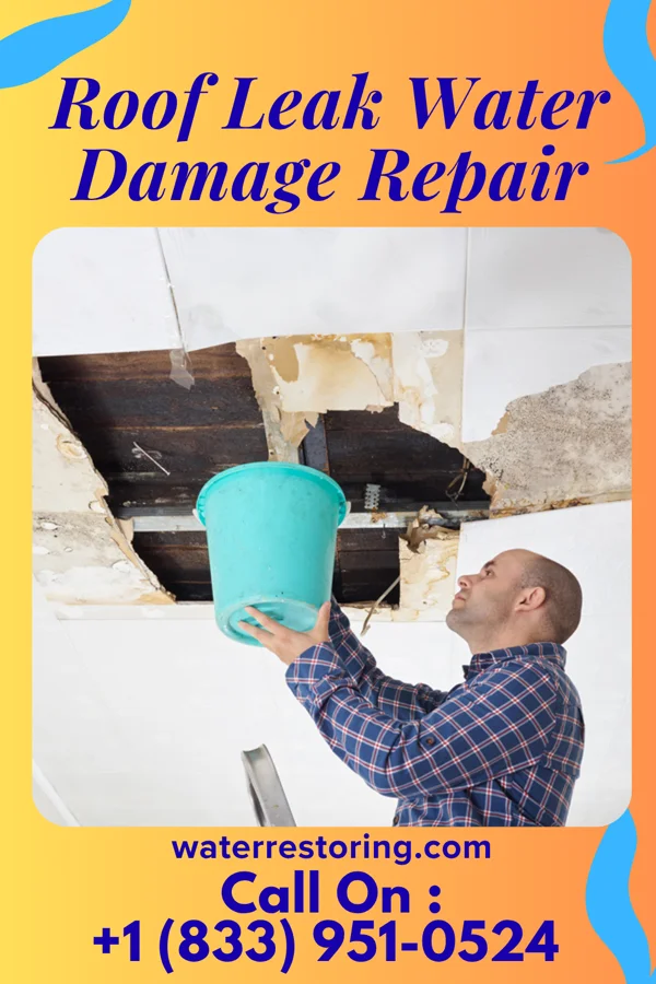 Roof Leak Water Damage Repair in Lost Springs, WY